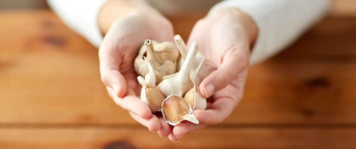 Česnek: aromatický zázrak z kuchyně